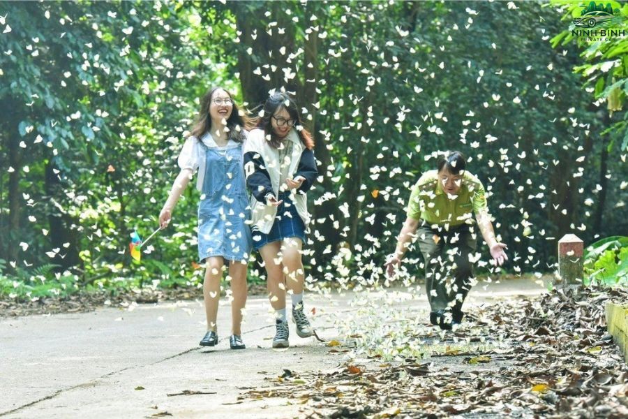 Ancient rainforest canopy trail in Cuc Phuong